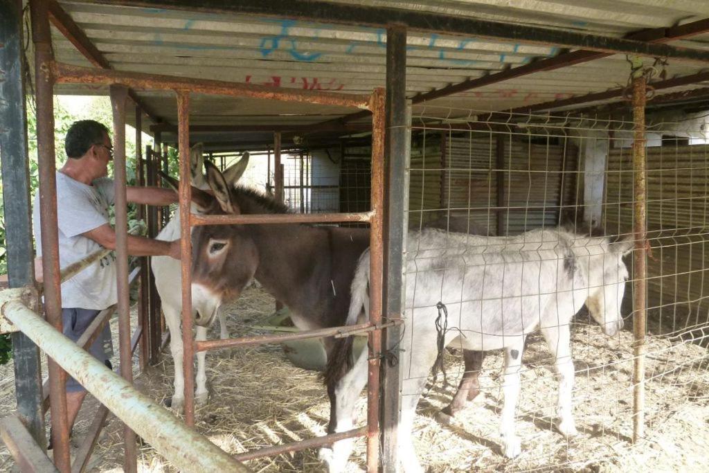 Finca Los Burros Totalan Exterior photo